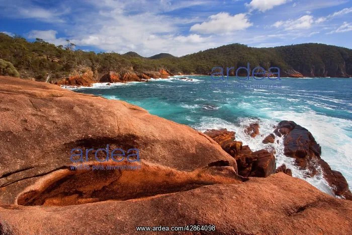 : Granite coastline - view along the ragged, rocky : Granite coastline - view along the ragged, rocky