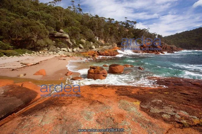 : Granite coastline - view along the ragged, rocky : Granite coastline - view along the ragged, rocky