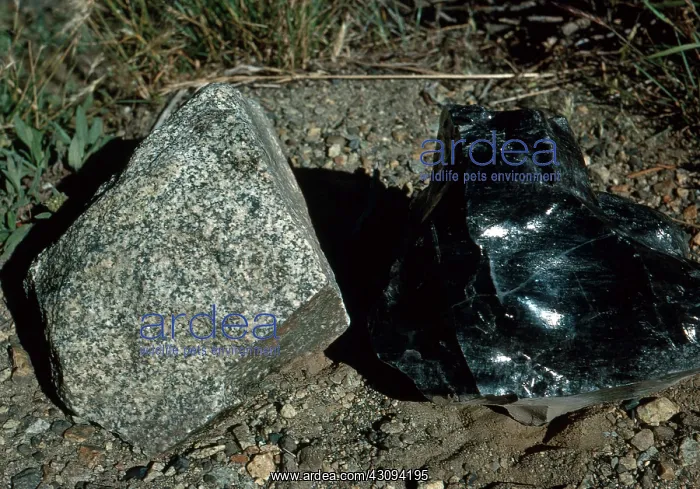 : Granite and Obsidian : Granite and Obsidian