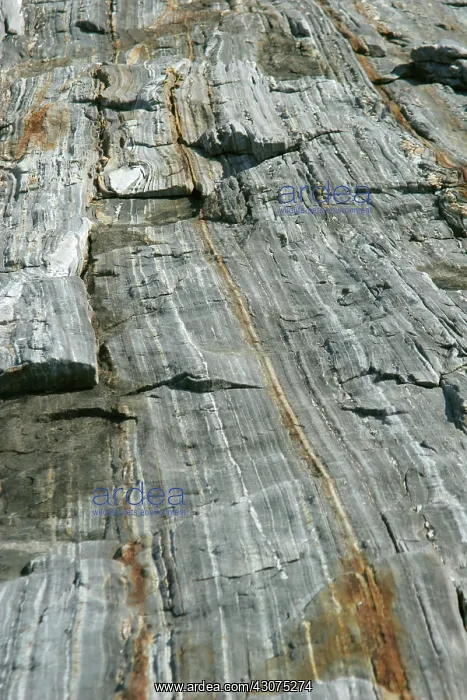 : Granite with quartz inclusions : Granite with quartz inclusions