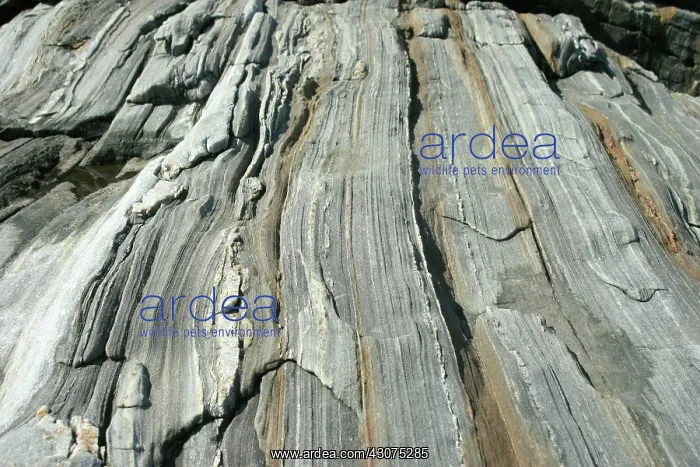  : Granite with quartz inclusions
