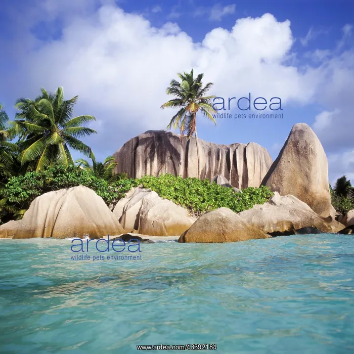  : Granite rocks on Anse Source Jean beach, La Digue