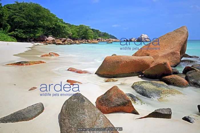 : Granite rocks and beach of Anse Lazio in the evening : Granite rocks and beach of Anse Lazio in the evening