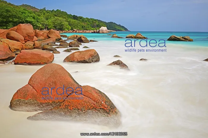 : Granite rocks and beach of Anse Lazio, Praslin Island : Granite rocks and beach of Anse Lazio, Praslin Island