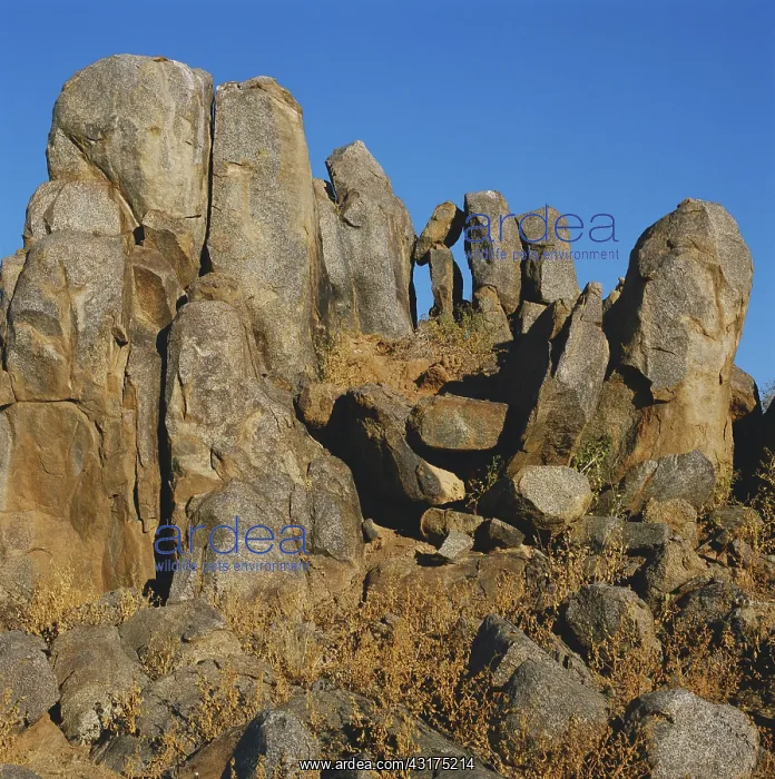 : Granite Rocks in Namibia : Granite Rocks in Namibia