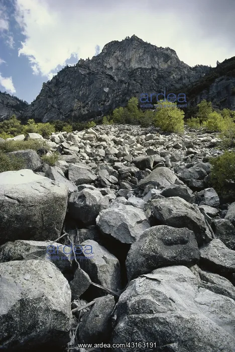 : Granite Rubble : Granite Rubble
