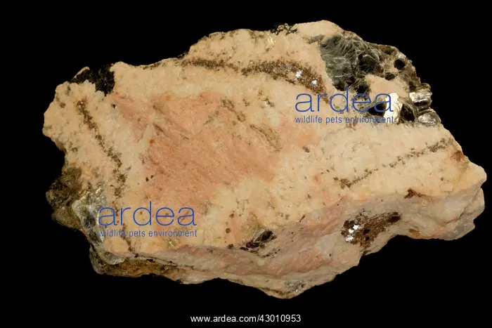: Granitic Pegmatite : Granitic Pegmatite