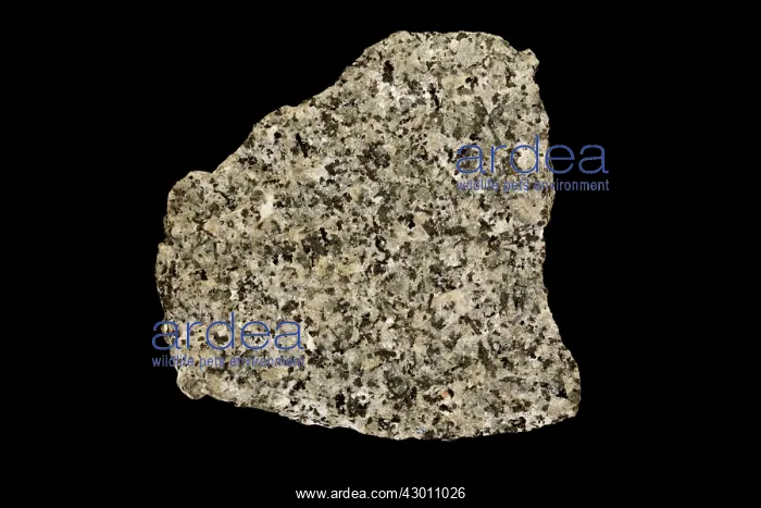 : Granodiorite : Granodiorite