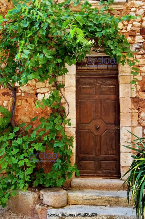 : Grapevine surrounding front door to home : Grapevine surrounding front door to home