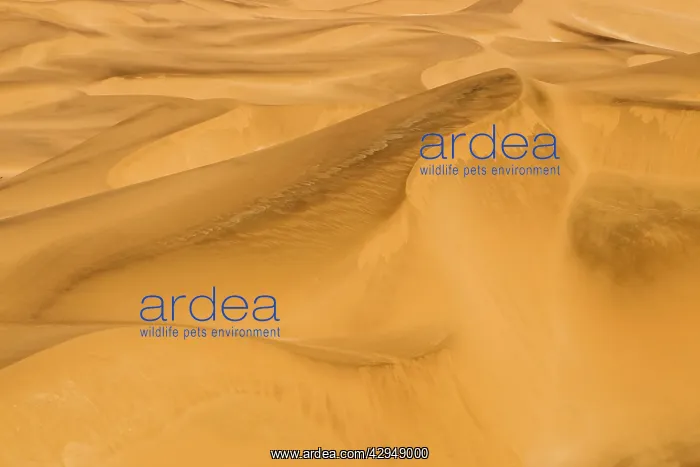 : Graphic depiction of a slip face in the dune sea : Graphic depiction of a slip face in the dune sea