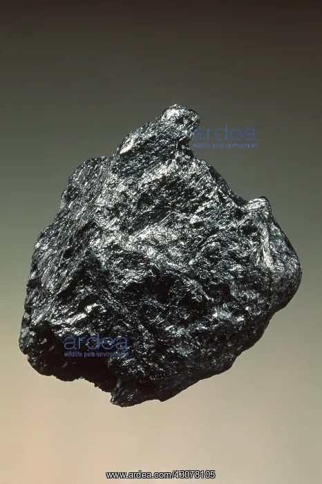 : Graphite. Elemental carbon, used in alloys and as a lubricant : Graphite. Elemental carbon, used in alloys and as a lubricant