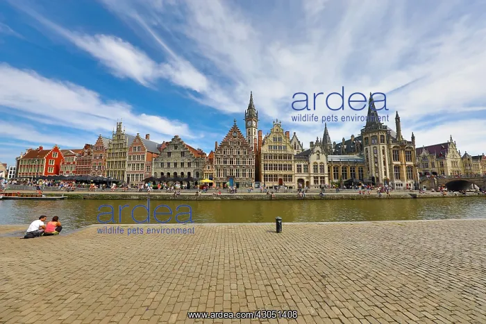 : Graslei quay and the Leie River with medieval buildings : Graslei quay and the Leie River with medieval buildings