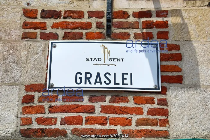: Graslei quay street sign, Ghent, Belgium : Graslei quay street sign, Ghent, Belgium