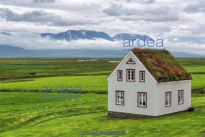  : Grass sod house in a meadow, mountains on the horizon
