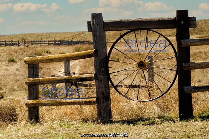 : Grasslands landscape : Grasslands landscape
