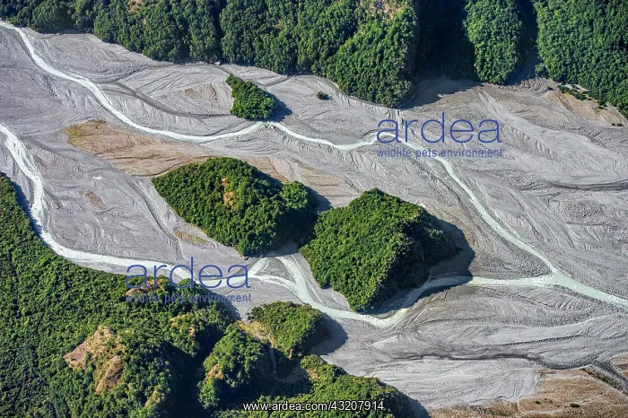 : Gravel bed in the valley of the glacial Karangarua : Gravel bed in the valley of the glacial Karangarua
