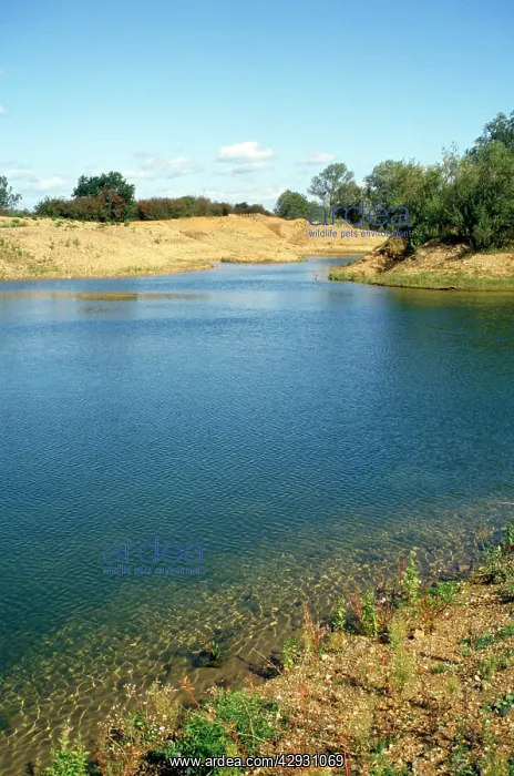 : Gravel Pit - reclaimed : Gravel Pit - reclaimed