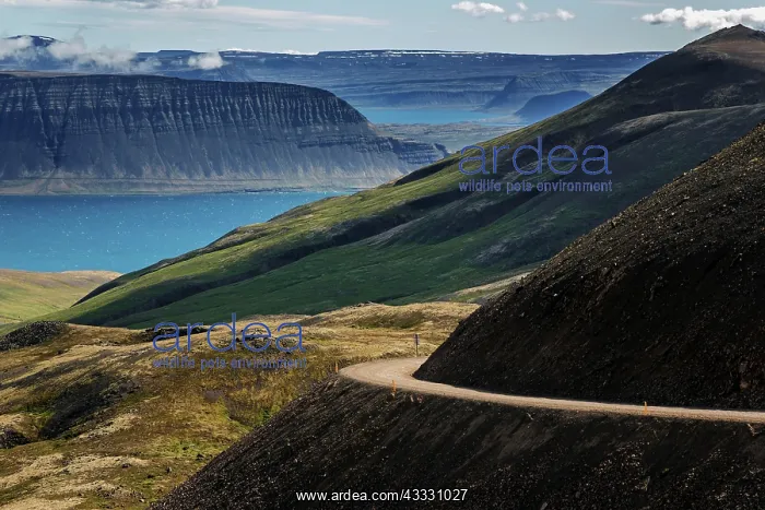 : Gravel road meanders through volcanic landscape : Gravel road meanders through volcanic landscape