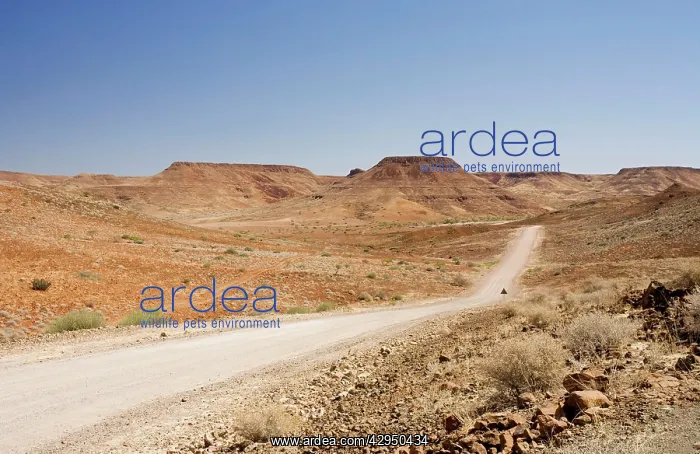 : Gravel Roads winding through a rugged environment : Gravel Roads winding through a rugged environment