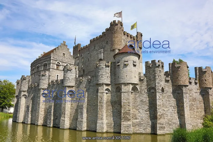 : Gravensteen medieval castle and moat, Ghent, Belgium : Gravensteen medieval castle and moat, Ghent, Belgium