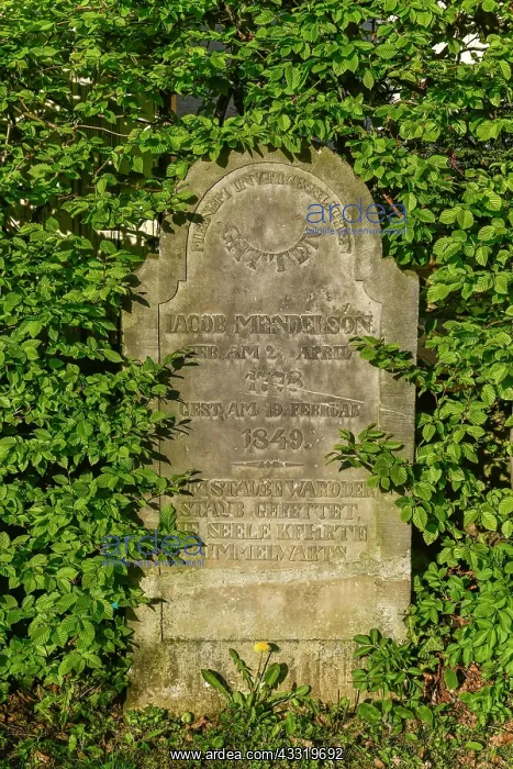 : Gravestone, Old Jewish Cemetery, Winterberg, Vlotho : Gravestone, Old Jewish Cemetery, Winterberg, Vlotho