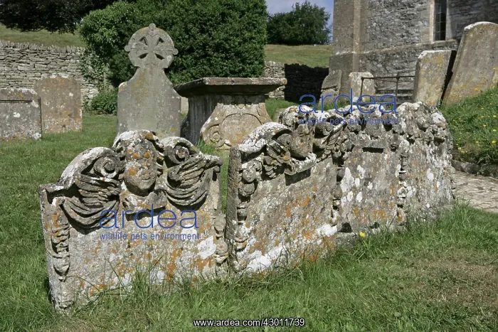 : Gravestones St Andrew's Church, Chedworth, The Cotswolds : Gravestones St Andrew's Church, Chedworth, The Cotswolds