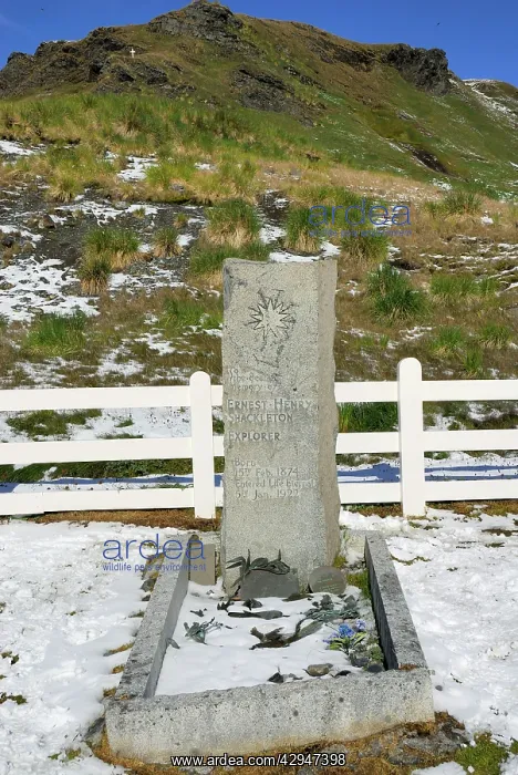 : Graveyard of Sir Ernest Shakelton : Graveyard of Sir Ernest Shakelton