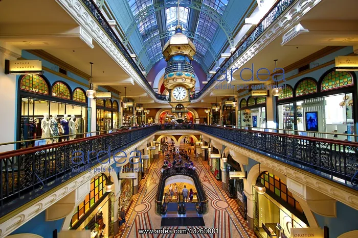 : The Great Australian Clock in the Queen Victoria : The Great Australian Clock in the Queen Victoria