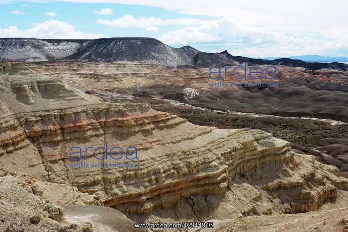 : The Great Barranca - exposure of terrestrial Paleocene : The Great Barranca - exposure of terrestrial Paleocene