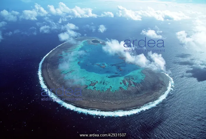 : Great Barrier Reef - aerial view : Great Barrier Reef - aerial view