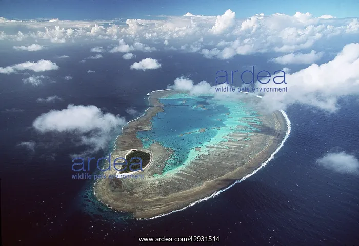 : Great Barrier Reef - aerial view : Great Barrier Reef - aerial view