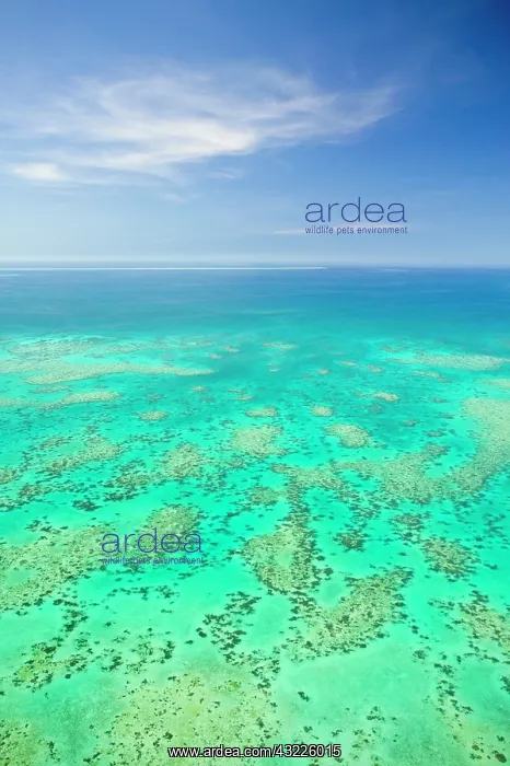 : The Great Barrier Reef, aerial view of Green : The Great Barrier Reef, aerial view of Green