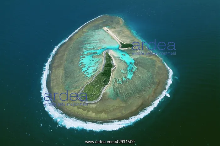 : Great Barrier Reef - aerial view - sand & shingle cays : Great Barrier Reef - aerial view - sand & shingle cays