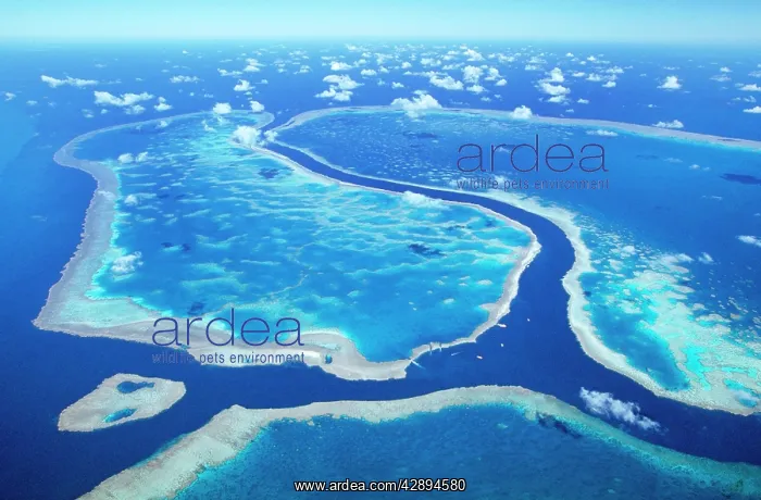 : Great Barrier Reef - hardy reef seperated from : Great Barrier Reef - hardy reef seperated from