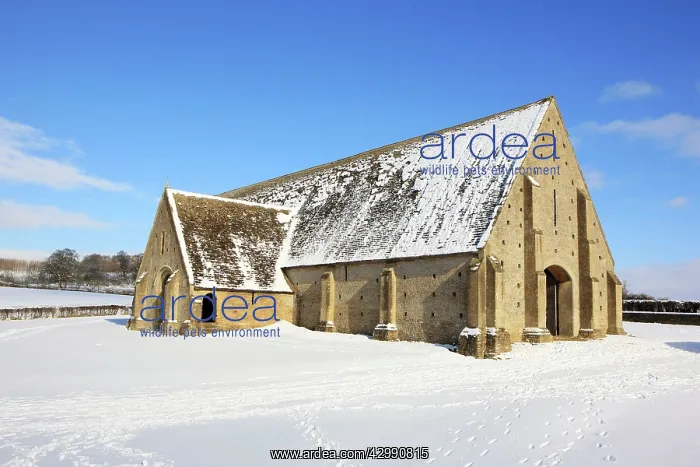 : Great Coxwell Barn near Faringdon Oxfordshire - A large mona : Great Coxwell Barn near Faringdon Oxfordshire - A large mona