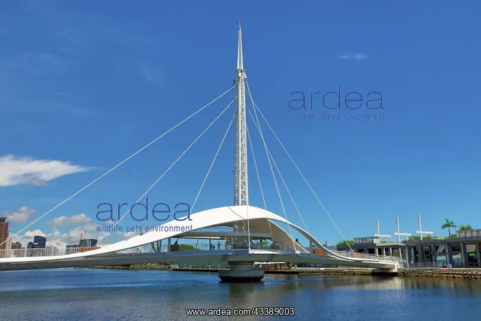 : Great Harbor Bridge, Kaohsiung, Taiwan : Great Harbor Bridge, Kaohsiung, Taiwan