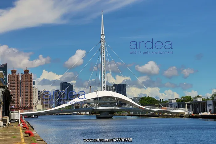 : Great Harbor Bridge, Kaohsiung, Taiwan : Great Harbor Bridge, Kaohsiung, Taiwan