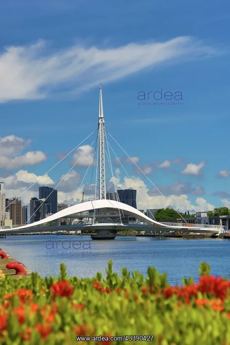 : Great Harbor Bridge, Kaohsiung, Taiwan : Great Harbor Bridge, Kaohsiung, Taiwan