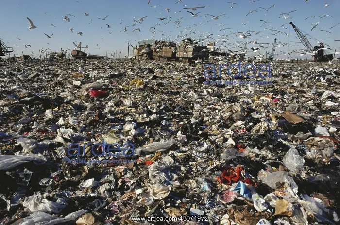 : Great Kills Landfill : Great Kills Landfill