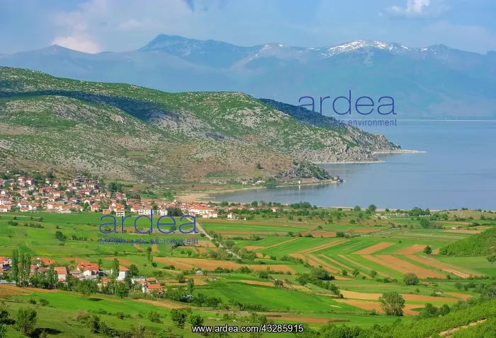 : Great Lake Prespa with villages Lejthize and Liqenas : Great Lake Prespa with villages Lejthize and Liqenas