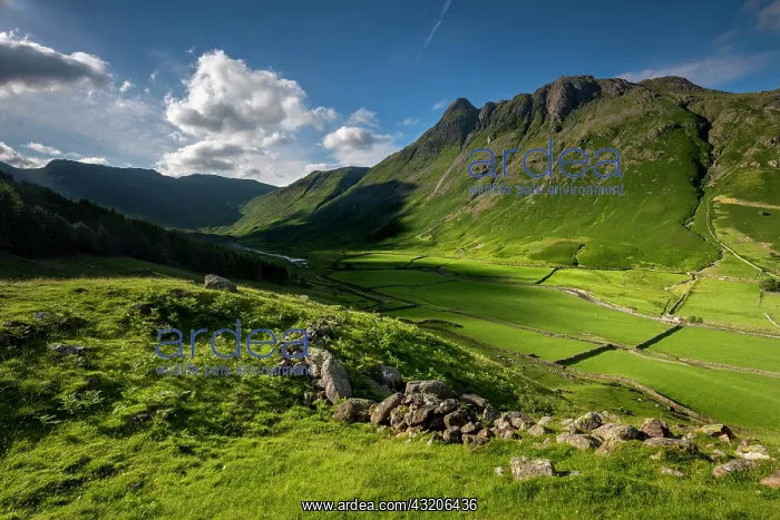 : Great Langdale - Pike of Stickle - Lake District - UK : Great Langdale - Pike of Stickle - Lake District - UK