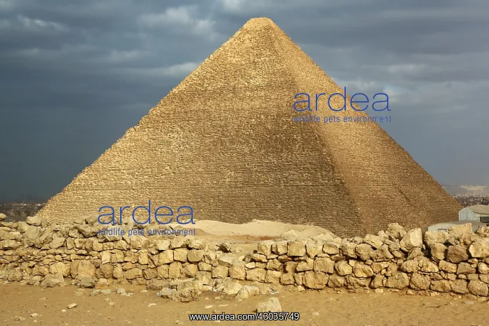  : The Great Pyramid of Khufu (or Cheops) on the