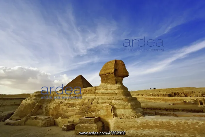 : The Great Sphinx of Giza, a half lion half : The Great Sphinx of Giza, a half lion half