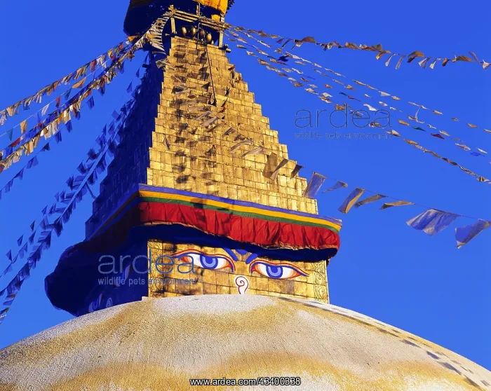 : The Great Stupa in the Tibetan quarter at Boddnath : The Great Stupa in the Tibetan quarter at Boddnath