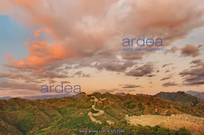  : Great Wall of China of China, Jinshanling