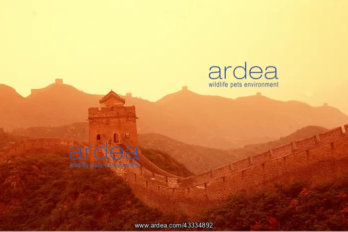 : Great Wall of China - Jinshunling, HE BEI Province, China : Great Wall of China - Jinshunling, HE BEI Province, China