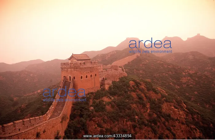: Great Wall of China - Jinshunling, HE BEI Province, China : Great Wall of China - Jinshunling, HE BEI Province, China