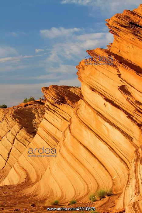 : Great Wall - the Fins at Waterhole Canyon : Great Wall - the Fins at Waterhole Canyon