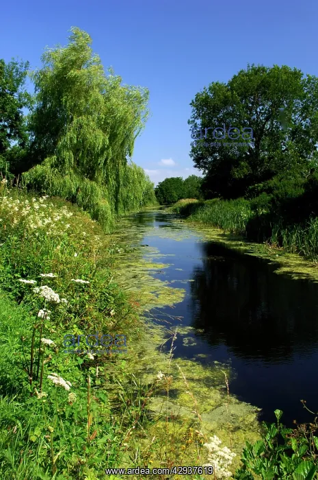 : The Great Western Canal, UK : The Great Western Canal, UK