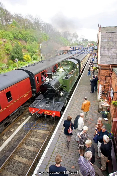 : Great Western steam train : Great Western steam train